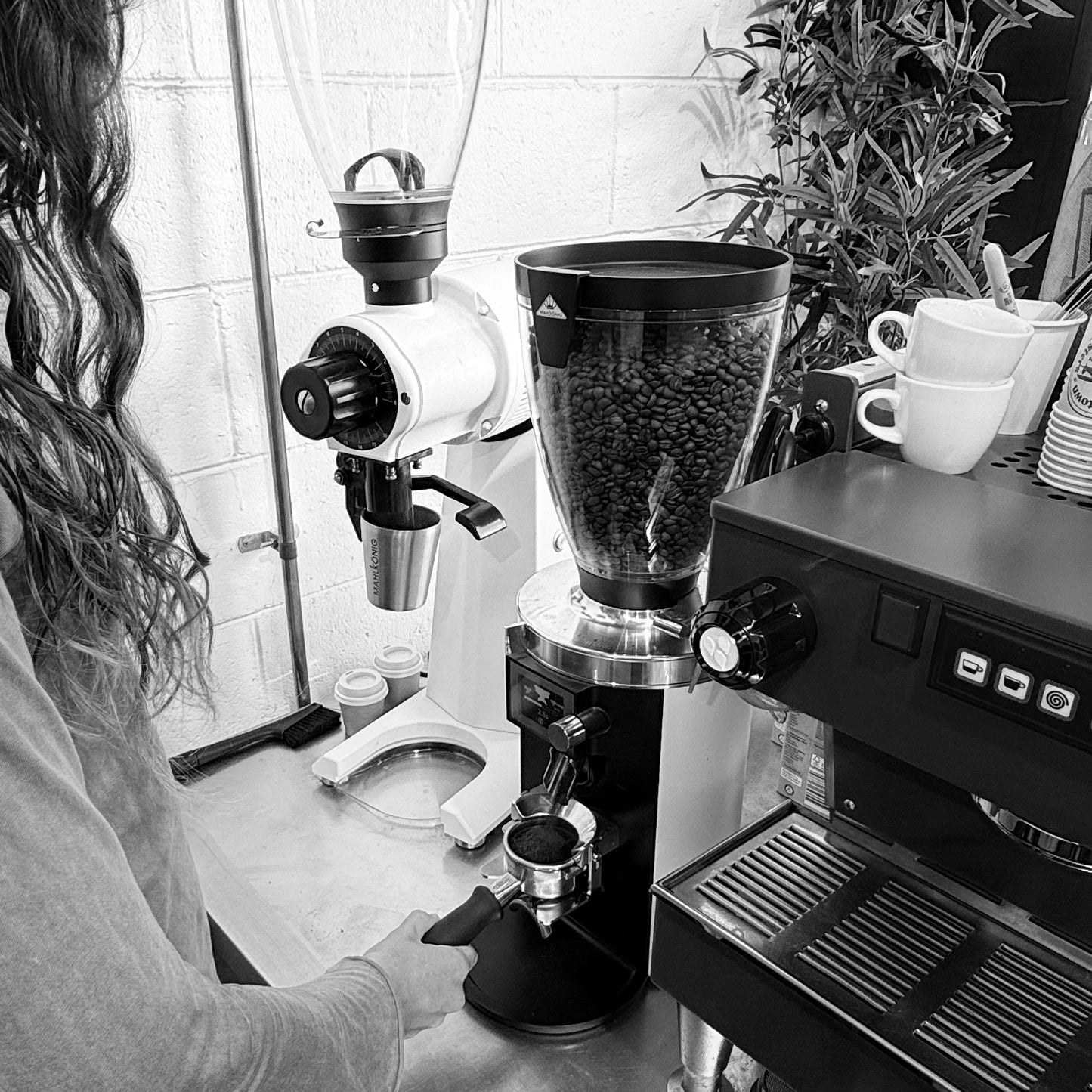 Barista Essentials Course